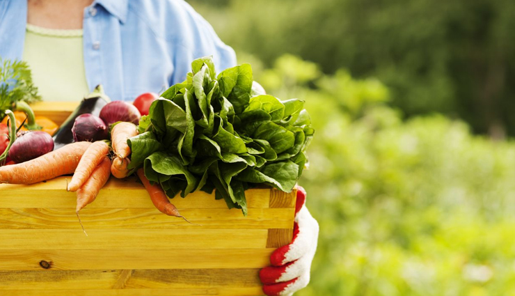 benefits of organic food,why organic food is healthy,health benefits of organic food,organic food vs conventional food,reasons to eat organic,organic diet benefits,is organic food better for health,advantages of eating organic,organic food and nutrition,why choose organic food,organic farming benefits,organic food for a healthy lifestyle,natural and organic food benefits,organic food and wellness,why organic food is good for you