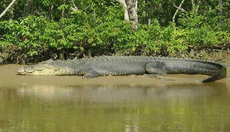 orissa,tourist spots in orissa,places to visit in orissa