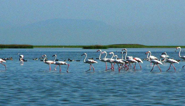 orissa,tourist spots in orissa,places to visit in orissa