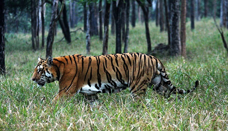 orissa,tourist spots in orissa,places to visit in orissa