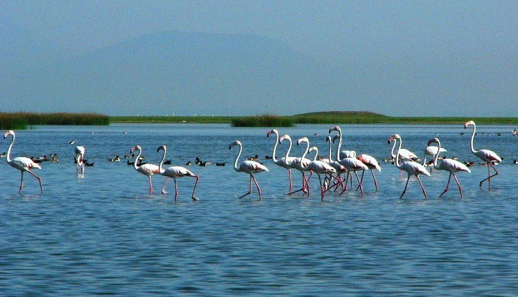 odisha tourism,bhubaneswar tourist places,puri beaches,konark sun temple,chilika lake attractions,simlipal national park safari,top places to visit in odisha,best things to do in bhubaneswar,beaches in puri,konark dance festival,chilika lake boating,wildlife tours in simlipal national park,cultural attractions in odisha,heritage sites in bhubaneswar,natural wonders of odisha,top tourist places in odisha,best places to visit in odisha,historical places in odisha,beaches in odisha,cultural attractions in odisha,famous temples in odisha,tribal villages in odisha,popular hill stations in odisha,waterfalls in odisha,heritage sites in odisha,odisha handicrafts,adventure tourism in odisha