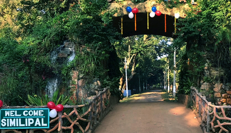 odisha tourism,bhubaneswar tourist places,puri beaches,konark sun temple,chilika lake attractions,simlipal national park safari,top places to visit in odisha,best things to do in bhubaneswar,beaches in puri,konark dance festival,chilika lake boating,wildlife tours in simlipal national park,cultural attractions in odisha,heritage sites in bhubaneswar,natural wonders of odisha,top tourist places in odisha,best places to visit in odisha,historical places in odisha,beaches in odisha,cultural attractions in odisha,famous temples in odisha,tribal villages in odisha,popular hill stations in odisha,waterfalls in odisha,heritage sites in odisha,odisha handicrafts,adventure tourism in odisha