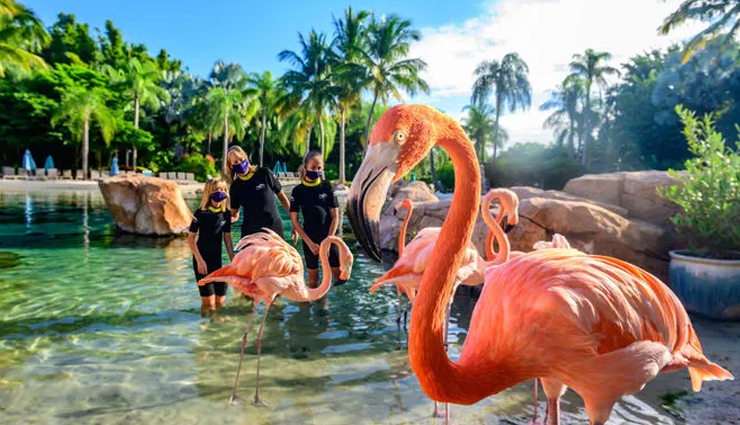 orlando,florida,tourist attraction in orlando,discovery cove,magic kingdom at the walt disney world,universals islands of adventure,legoland florida,sea world orlando,voodoo doughnut,orlando,florida