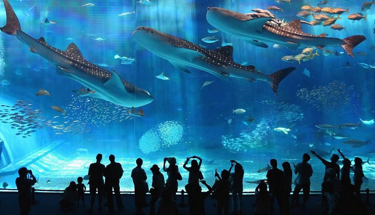 osaka,tourist attractions you can visit in osaka,places to visit in osaka,best time to visit osaka,osaka travel guide,travel,travel tips