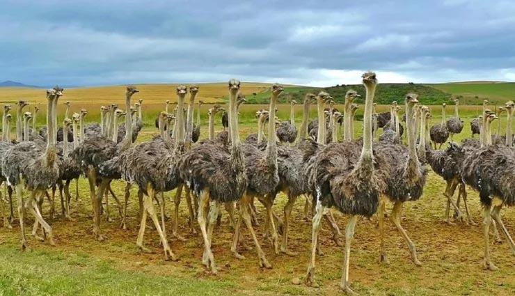 शायद ही जानते होंगे आप ये हैरान करने वाले रोचक तथ्य 