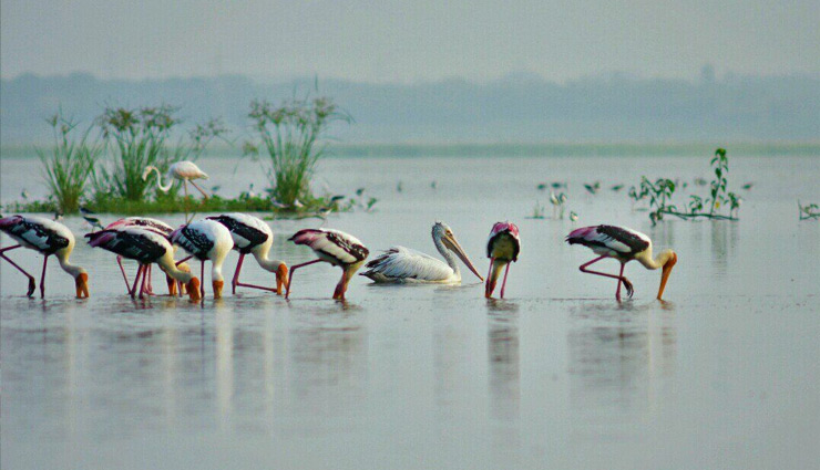 pondicherry tourist places,best places to visit in pondicherry,top attractions in pondicherry,things to do in pondicherry,pondicherry beaches,paradise beach pondicherry,lighthouse pondicherry,grabbing lake pondicherry,eglise de notre dame des anges,ouster wetland and national park,ganesh garden pondicherry,goubert market pondicherry,pudukuppam beach,jawahar toy museum,weekend getaways near pondicherry,places to explore around pondicherry