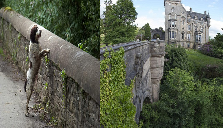 weird story,scotland