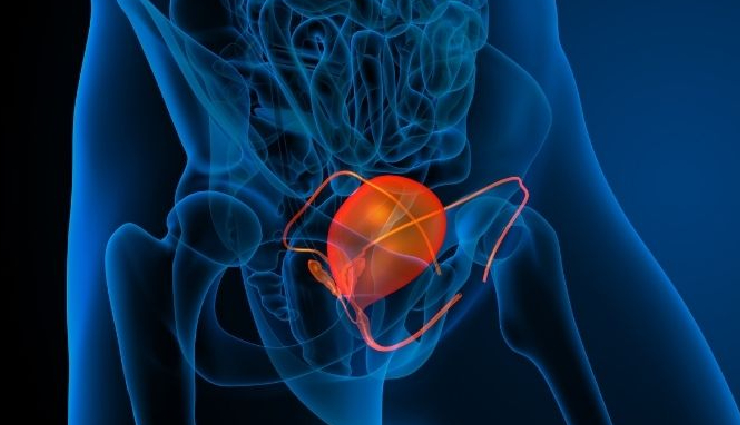 urology,female urology,urinary tract system,urologic conditions,common urologic issues,women health,urologist expertise,female reproductive system,anatomy and urologic health,hormonal impact on urology,preventive measures for utis,overactive bladder (oab),interstitial cystitis (ic),urinary incontinence (ui),postpartum urological issues,pelvic organ prolapse (pop),urological treatments,female urology diagnosis,pelvic floor exercises,urological health awareness,urethral health,bladder health,kidney health,ureter conditions,prostate health in women,women reproductive health,urological disorders,menopause and urology,pelvic health,pregnancy-related urological issues,female sexual health,bladder control,incontinence treatment,urological symptoms in women,hormonal impact on bladder,female urological examinations,urology and lifestyle choices,reproductive system diseases,urological health education,urological wellness