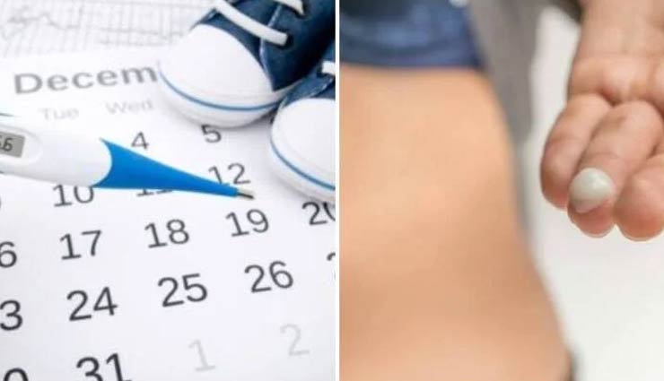 ovulation,major causes of ovulation,periods tips,pregnancy tips,Health tips,fitness tips