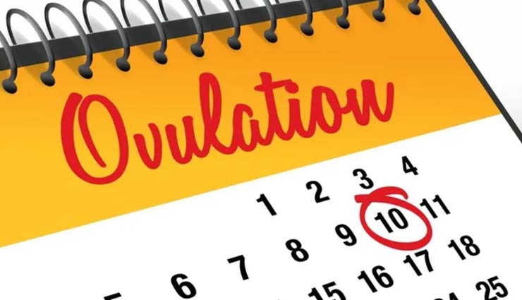 ovulation,major causes of ovulation,periods tips,pregnancy tips,Health tips,fitness tips