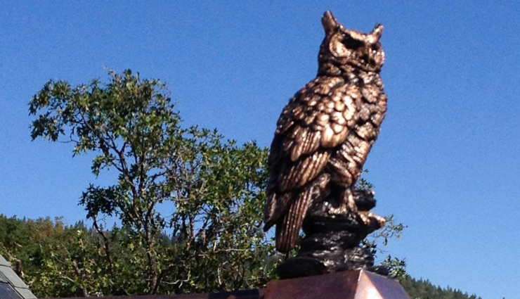 owl sitting on house,astrology tips