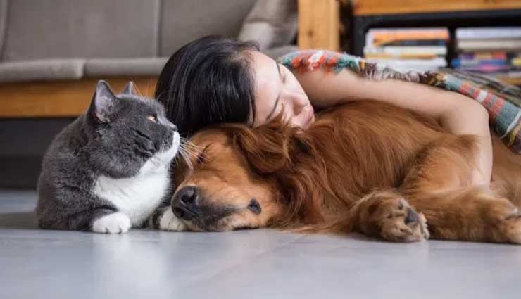 benefits of owning a pet,mental benefits of owning a pet,pet care tips,owning pet tips,family care tips