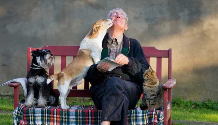 5 Amazing Benefits of Owning a Pet