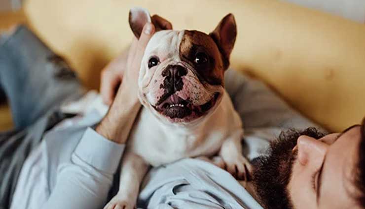 benefits of owning a pet,mental benefits of owning a pet,pet care tips,owning pet tips,family care tips