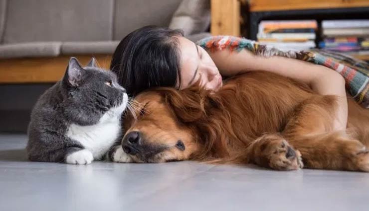 benefits of owning pets,pet care tips,owning pets benefits