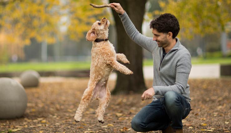 5 Reasons Pets Makes You Happy