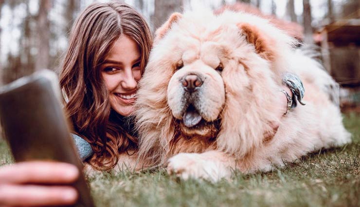 benefits of owning pets,pet care tips,owning pets benefits