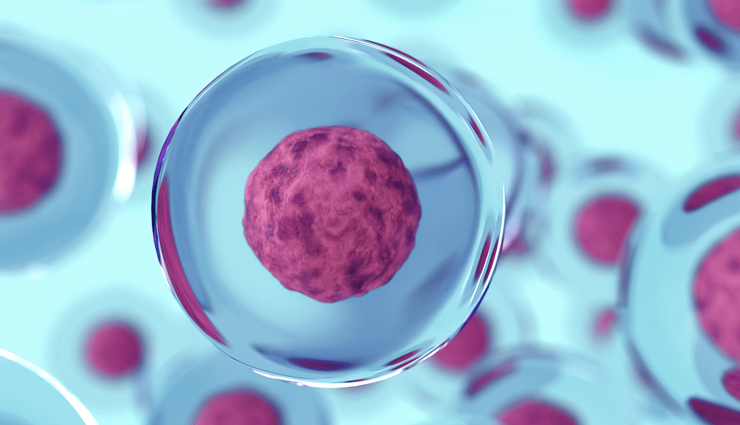 sesame,sesame health benefits,sesame benefits,Health,health benefits