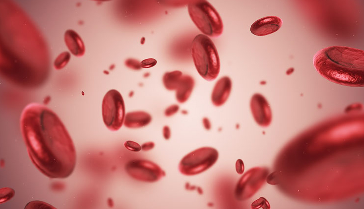 oyster mushrooms,health benefits of oyster mushrooms,Health tips,fitness tips