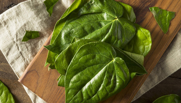 chewing paan benefits,chewing betel leaves benefits,betel leaves,paan improves digestion,paan good oral hygiene,paan treats gastric ulcers,paan cures boils,paan treats diabetes,paan cures constipation,paan relieves headache,Health,Health tips,simple health tips