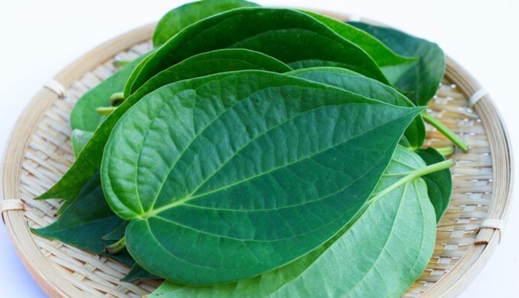 पान मोदक : इनके साथ करें गणेशजी की मान-मनुहार, भगवान जरूर पूरी करेंगी मनौती #Recipe paan modak,paan modak ganeshji,paan modak bappa,paan modak shriganesh,paan modak ganesh chaturthi 2024,paan modak sweet dish,paan modak delicious,paan modak tasty,paan modak ingredients,paan modak recipe