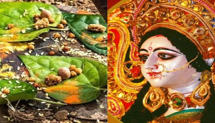 नवरात्रि 2021 : देवी की असीम कृपा दिलाएंगे पान पत्ते के ये उपाय, घर में होगा सुख-समृद्धि का वास astrology tips,astrology tips in hindi,navratri special,navratri 2021