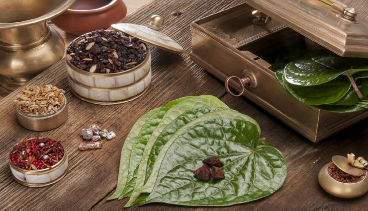 नवरात्रि 2021 : देवी की असीम कृपा दिलाएंगे पान पत्ते के ये उपाय, घर में होगा सुख-समृद्धि का वास astrology tips,astrology tips in hindi,navratri special,navratri 2021