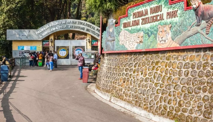 darjeeling activities,things to do in darjeeling,darjeeling attractions,darjeeling sightseeing,darjeeling experiences,explore darjeeling,top activities darjeeling,must-do in darjeeling,darjeeling adventure activities,darjeeling tourist spots,darjeeling outdoor adventures,darjeeling local attractions,darjeeling cultural experiences,darjeeling day trips,unique experiences in darjeeling,darjeeling nature activities,darjeeling mountain views,darjeeling heritage tours,darjeeling adventure sports,darjeeling hill station activities