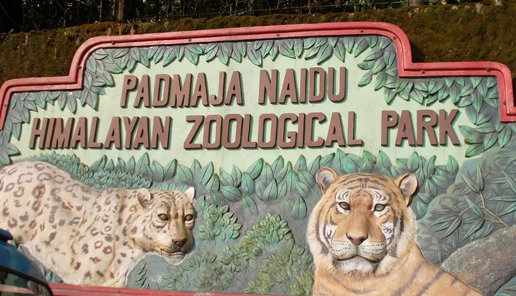 darjeeling tourist attractions,best places to visit in darjeeling,darjeeling sightseeing,top tourist spots in darjeeling,darjeeling travel destinations,must-see places in darjeeling,exploring darjeeling,iconic landmarks in darjeeling