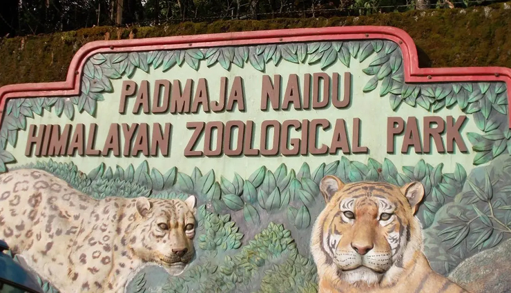 tourist attractions in darjeeling,places to visit in darjeeling,darjeeling sightseeing spots,famous landmarks in darjeeling,top tourist destinations in darjeeling,cultural heritage sites in darjeeling,darjeeling himalayan railway,tea gardens in darjeeling,darjeeling mall road,tiger hill sunrise view