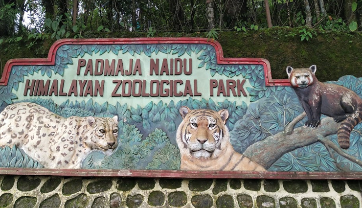 darjeeling,beautiful places in darjeeling,darjeeling travel,darjeeling travel guide