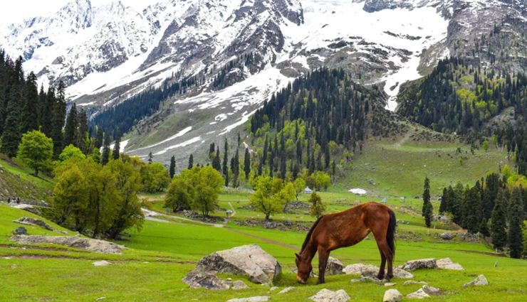 hill stations in jammu and kashmir,beautiful hill stations in india,best places to visit in jammu and kashmir,scenic destinations in the himalayas,adventure travel in jammu and kashmir,cultural immersion in kashmiri villages,outdoor activities in the himalayan region,serene retreats in jammu and kashmir,offbeat destinations in india,nature photography in jammu and kashmir