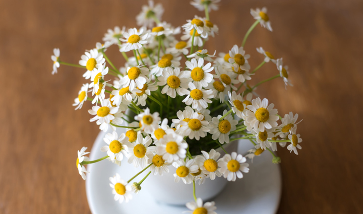 पेट दर्द की समस्या बन रही हैं आपके लिए आफत, ये 10 आहार दिलाएंगे आराम stomach ache relief,dietary tips for stomach ache,foods for stomach pain relief,natural remedies for stomach ache,alleviating stomach discomfort with diet,relieving stomach ache through diet,diet for soothing stomach pain,home remedies for stomach ache relief,foods to ease stomach ache,healthy diet for stomach discomfort,stomach ache remedies,foods to soothe stomach pain,digestive-friendly diet tips,holistic approach to stomach discomfort,healing foods for stomach issues,diet for gastrointestinal relief,nutrition for abdominal pain relief,dietary solutions for upset stomach,eating habits for alleviating stomach ache,natural ways to ease stomach discomfort