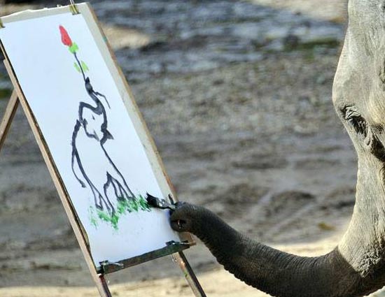 Video - This Painter Elephant is The New Artist in Demand