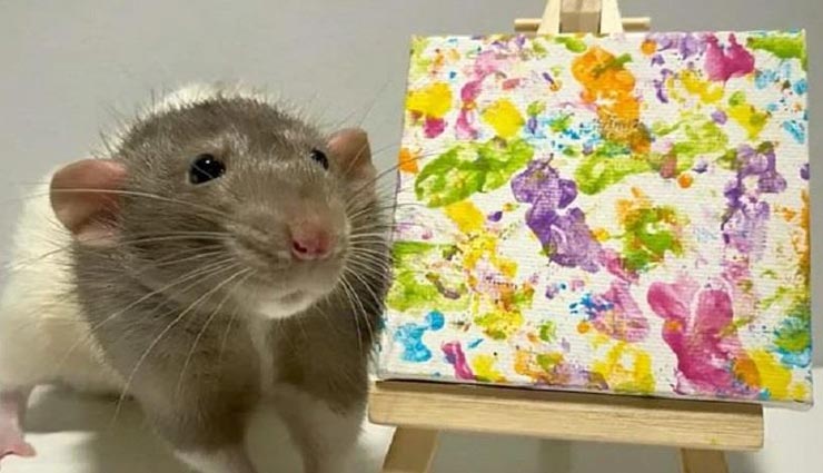 कमाल का कलाकार है ये चूहा जिसके एक पेंटिंग की कीमत 94 हजार रूपये 