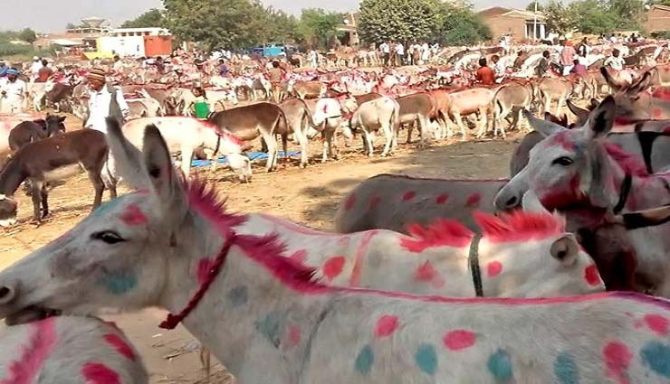 पाकिस्तान में लगा गधों का मेला, बिक रहे है Atom Bomb और AK-47!