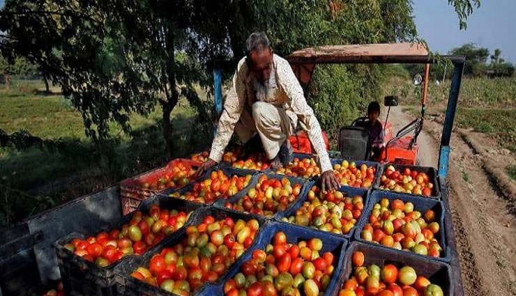 pakistan,eid,article 370,jammu-kashmir,imran khan,inflation in pakistan,people of pakistan,pakistan market,india-pakistan trade,article 370 news in hindi,pakistan news in hindi,news,news in hindi