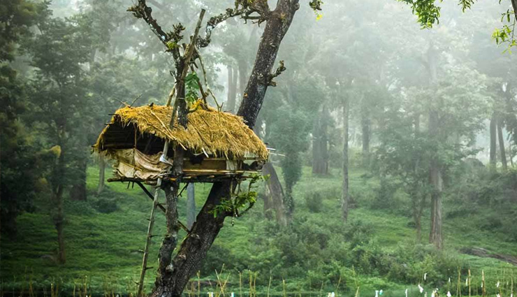 केरल में स्थित वायनाड की खूबसूरती का हर कोई दीवाना, हनीमून के लिए बेस्ट डेस्टिनेशन natural wonders in wayanad,wayanad hill stations and resorts,wayanad travel guide,popular destinations in kerala,wayanad wildlife sanctuaries,wayanad adventure tourism,charming places in wayanad,family-friendly attractions in wayanad,wayanad historical landmarks,cultural experiences in kerala,ecotourism in wayanad,wayanad offbeat destinations,best viewpoints in wayanad,wayanad waterfalls and lakes,wayanad trekking trails,best places to visit in wayanad,wayanad tourist attractions,kerala travel destinations,scenic spots in wayanad,must-visit places in kerala,wayanad hill stations,kerala nature tourism,historical sites in wayanad