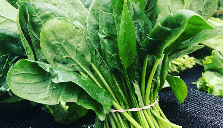 winter special palak paneer,food,easy recipe