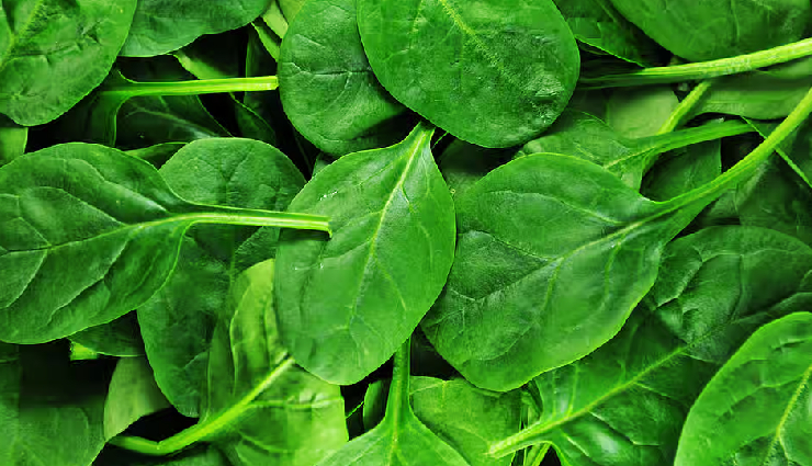 palak paneer bhurji,palak paneer bhurji ingredients,palak paneer bhurji recipe,palak paneer bhurji winter,palak paneer bhurji tasty,palak paneer bhurji healthy,palak paneer bhurji delicious,palak paneer bhurji dish,palak paneer bhurji restaurant