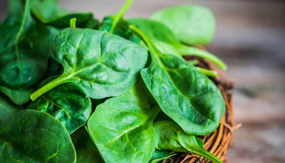 14 Proven Health Benefits of Palak