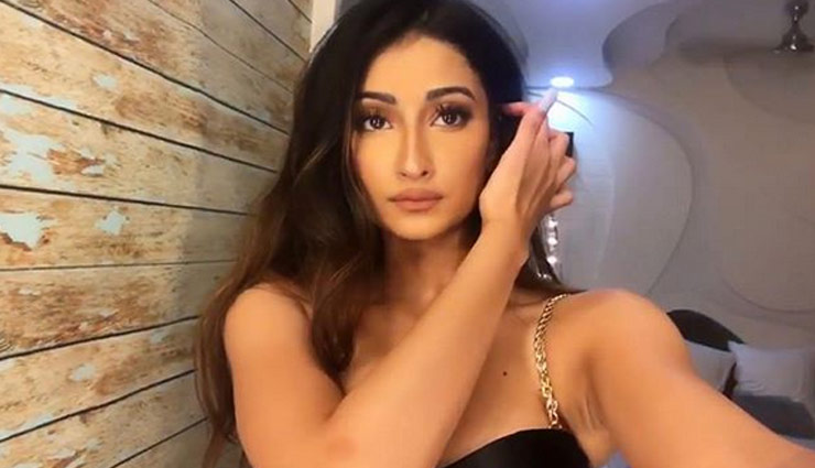 shweta tiwari,daughter,palak tiwari,molestation,abhinav kohli,entertainment