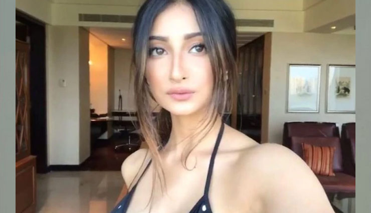 श्वेता तिवारी की बेटी पलक ने शेयर किया ये खूबसूरत वीडियो, कही ये बात