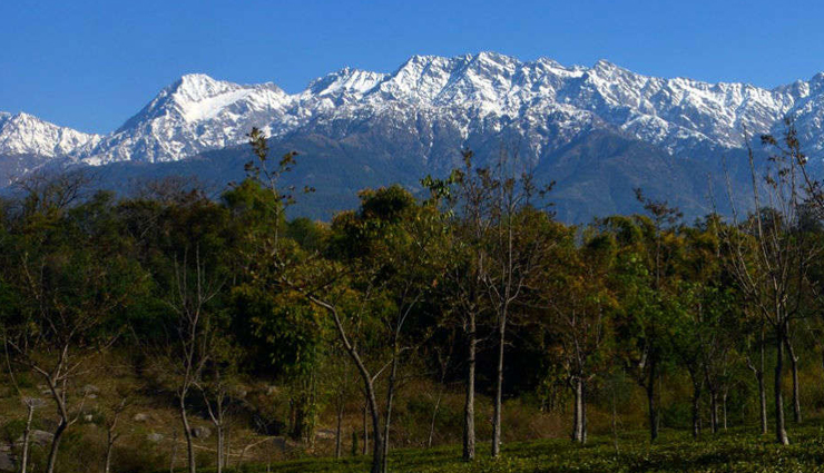 hidden mountain treasures in india,offbeat mountain destinations in india,unexplored mountain destinations in india,indias least discovered mountain destinations,lesser-known mountains in india,remote mountain destinations in india,secluded mountain spots in india,untouched mountain regions in india,off the beaten path mountain destinations in india,secret mountain getaways in india