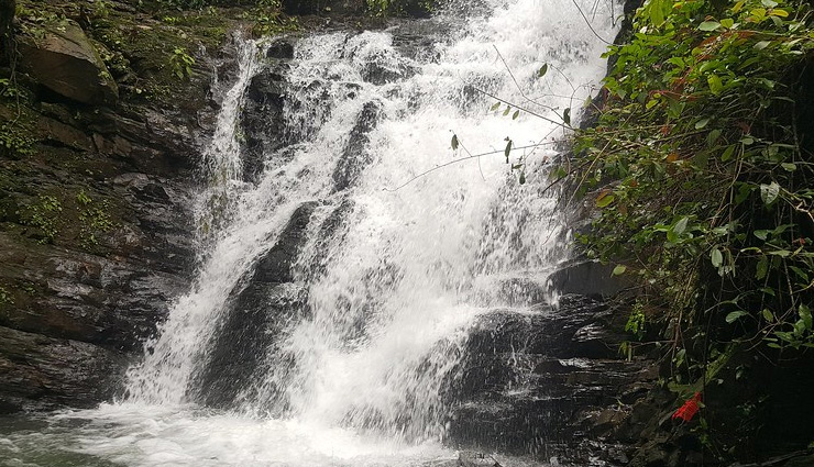 jungle,jungle adventure,jungle safari