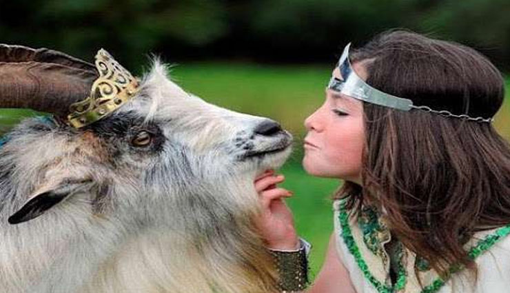 bakara made king,ireland fare,pluck fare,event goat parade ,बकरा बना राजा, आयरलैंड का पर्व, प्लक फेयर, इवेंट गोट परेड, अनोखा त्योहार 