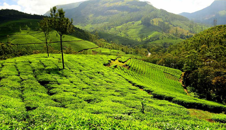 munnar tourist places,beautiful places in munnar,best places to visit in munnar,top attractions in munnar,munnar hill station,things to do in munnar,places to explore in munnar,munnar waterfalls,munnar trekking spots,munnar national parks,kerala hill stations