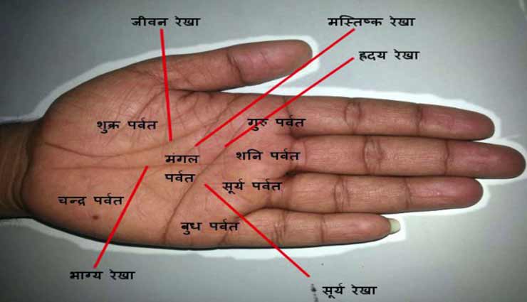 astrology tips,astrology tips in hindi,palmistry,money line