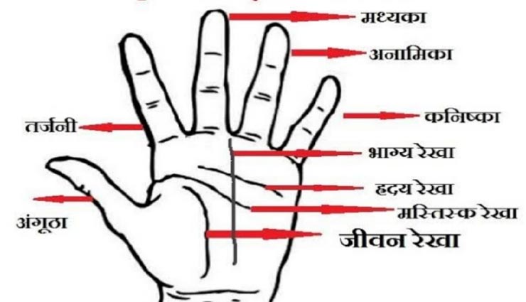 astrology tips,astrology tips in hindi,palmistry,palm sign and lines