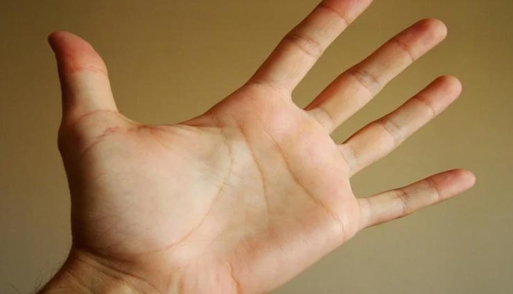 astrology tips,astrology tips in hindi,palmistry,palm sign of success,maa laxmi